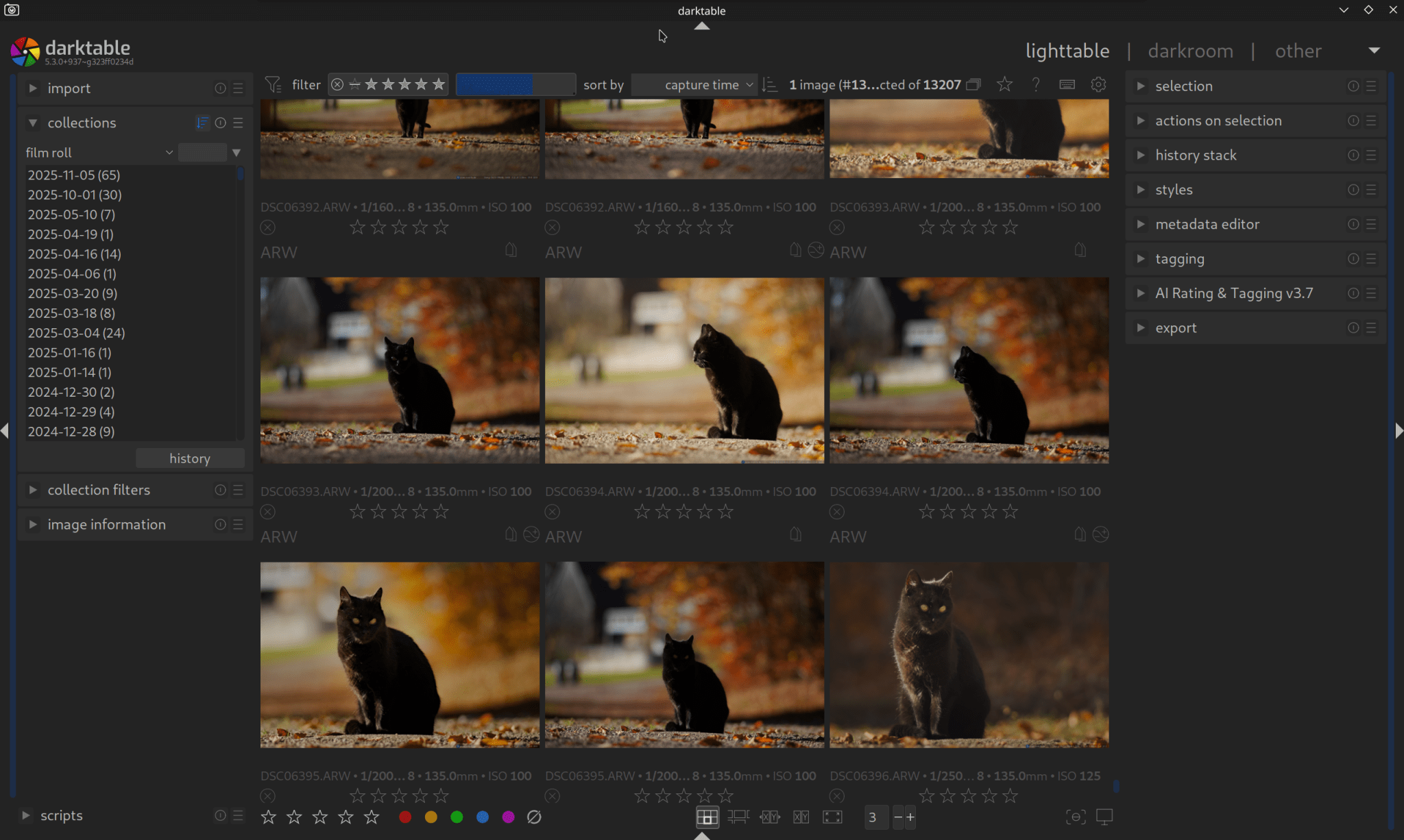 First Editing Steps - darktable.info – Mastering Darktable