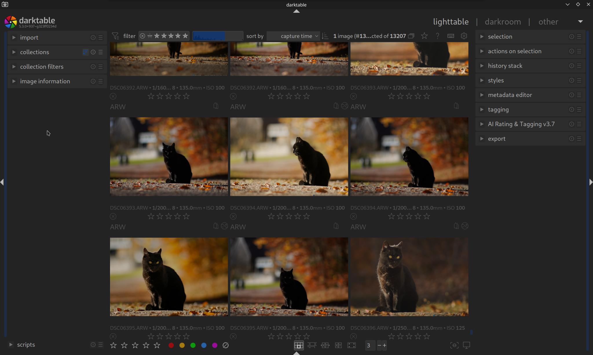 First Editing Steps - darktable.info – Mastering Darktable