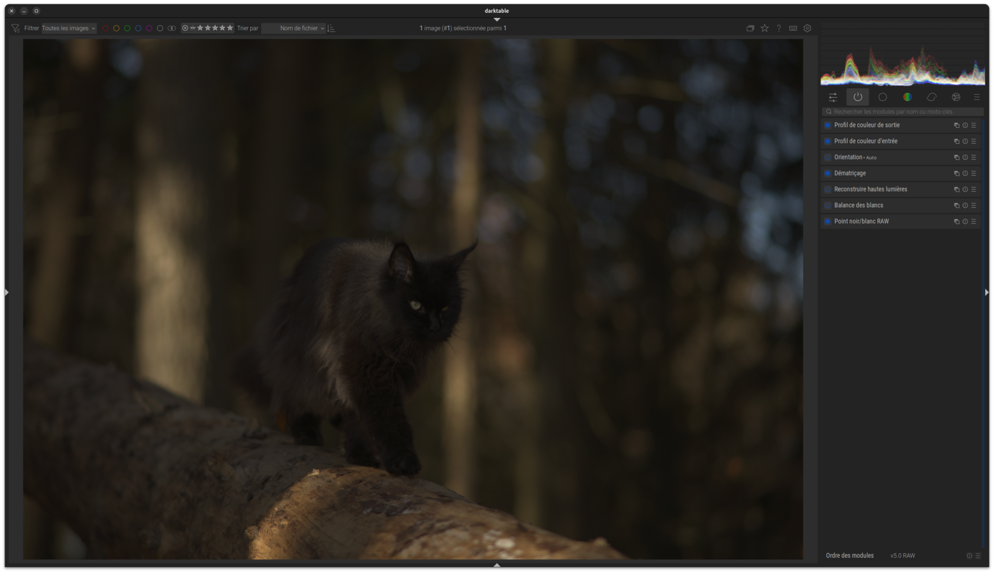 Capture d’écran Exemple Flux de Travail 1