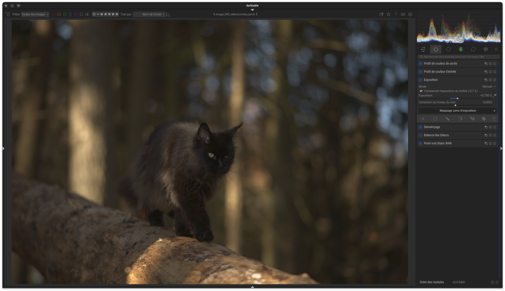 Capture d’écran Exemple Flux de Travail 2