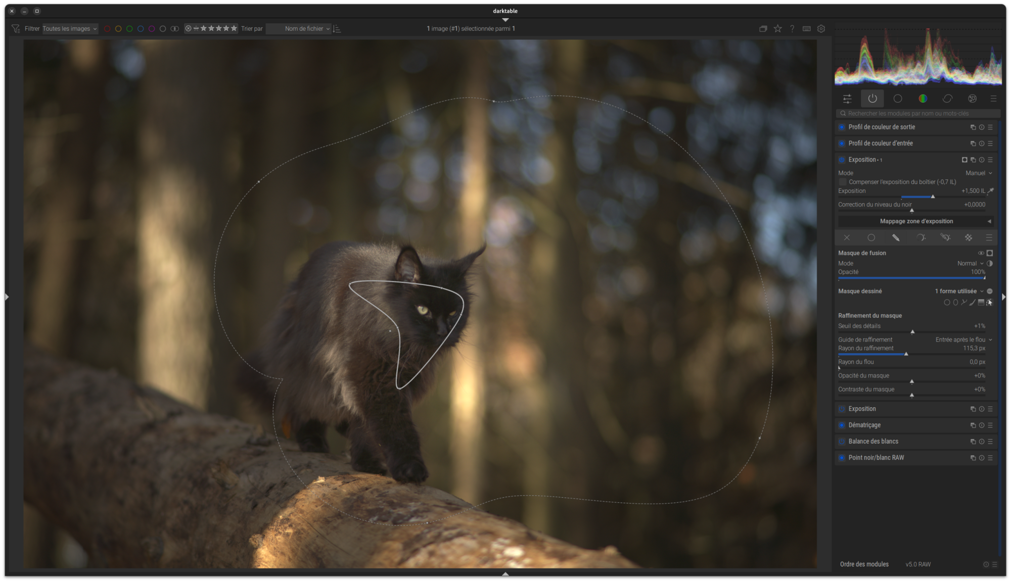Capture d’écran Exemple Flux de Travail 3