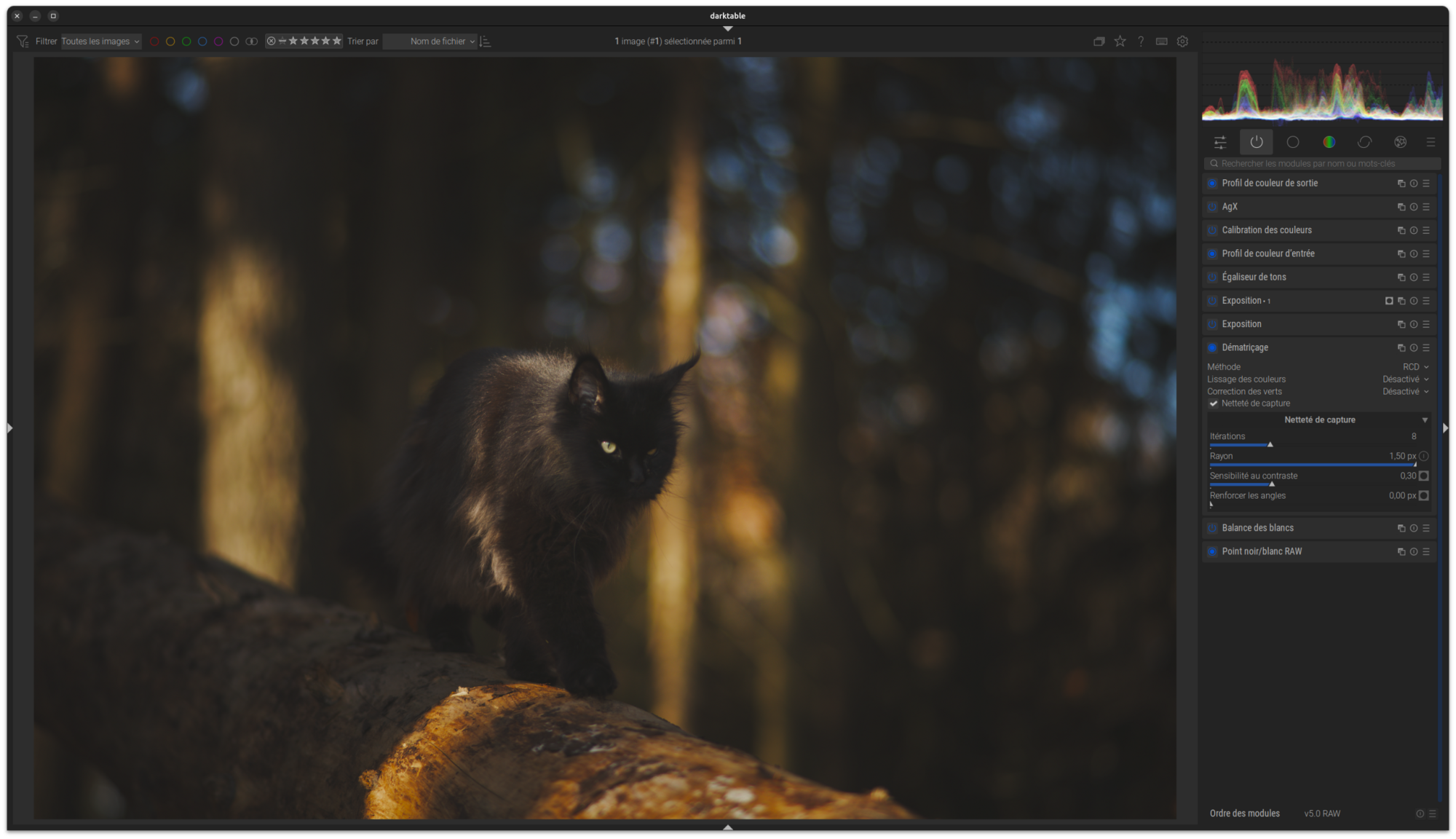 Capture d’écran Exemple Flux de Travail 6