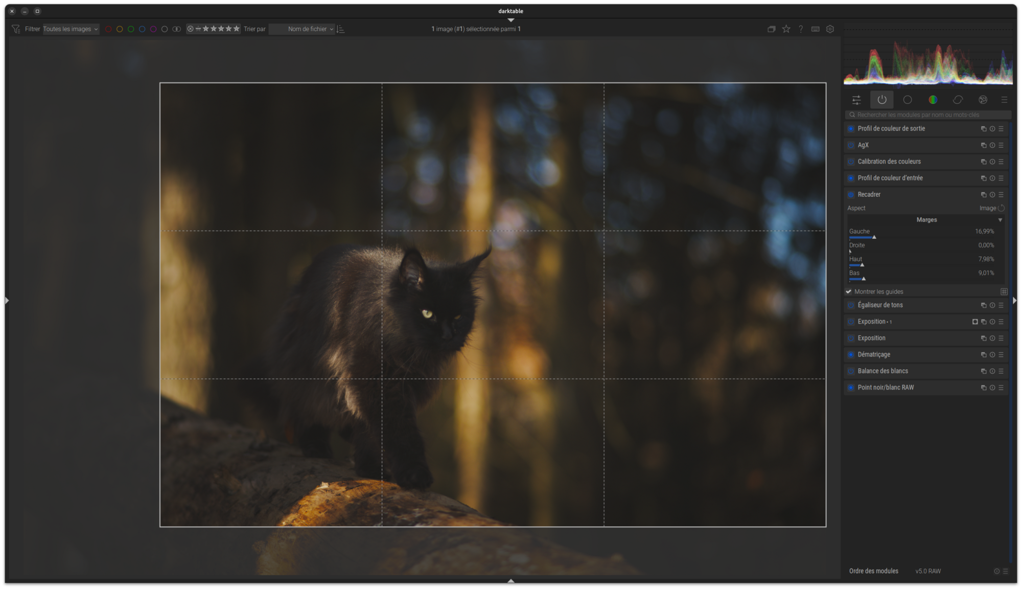 Capture d’écran Exemple Flux de Travail 7