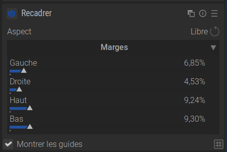 Capture d’écran du Module Recadrage - Marges
