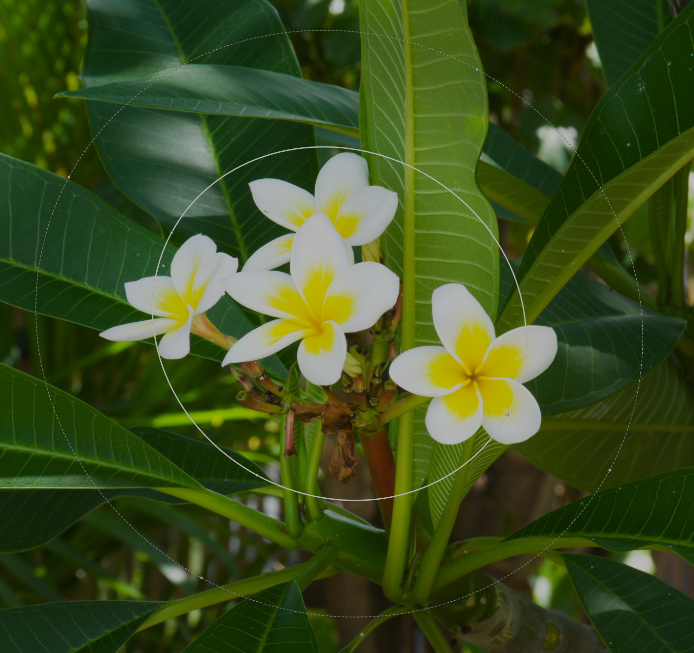 Copie d'écran d'un masque ellipse avec exposition accentuée