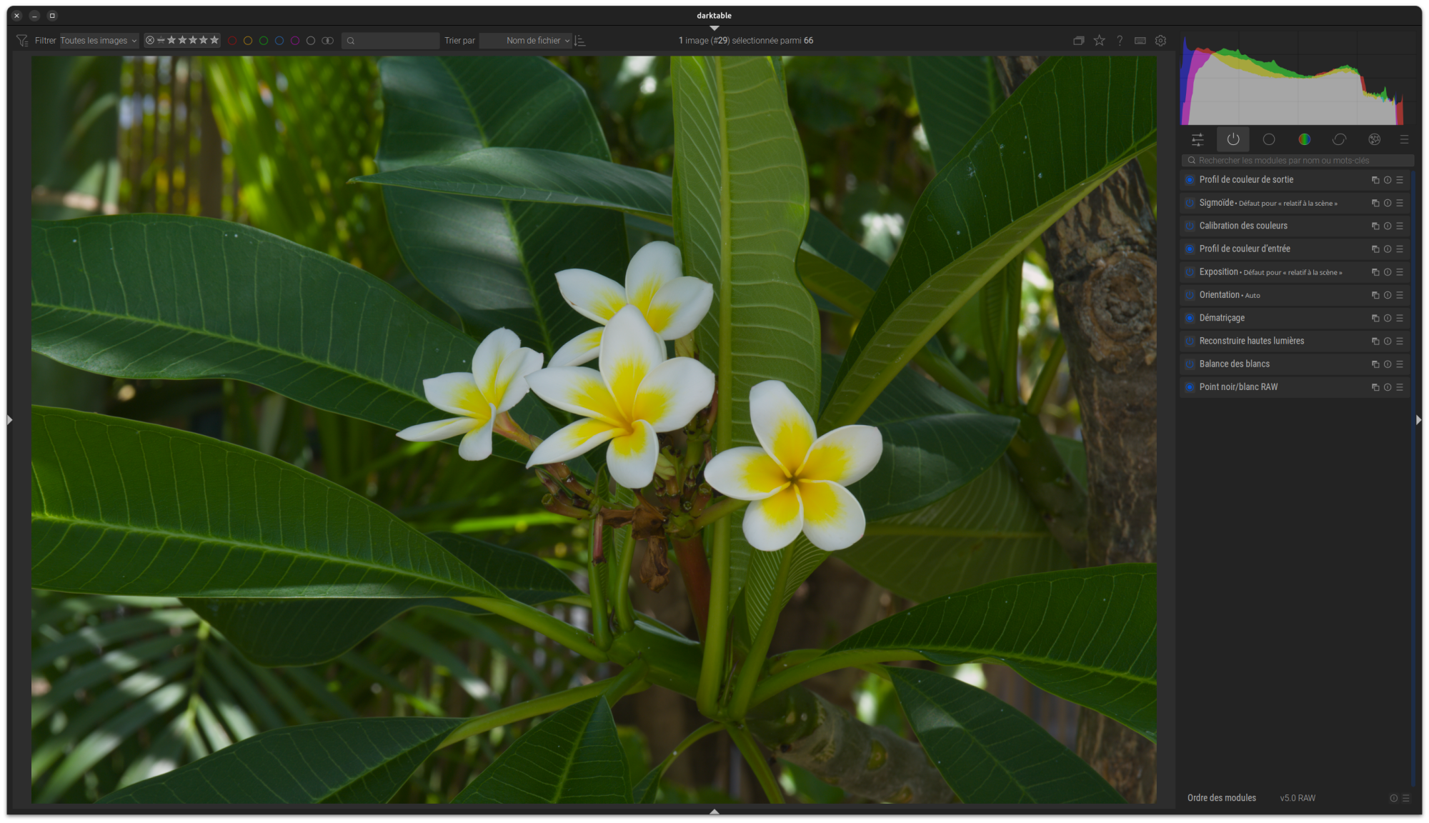 Copie d'écran de la Chambre noire bords repliés