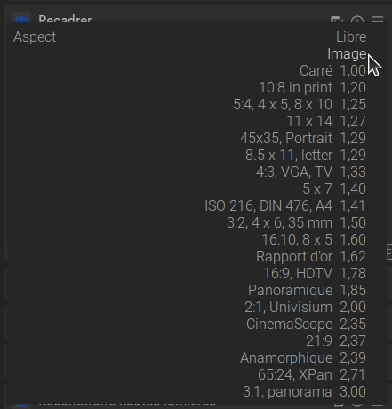 Copie d'écran des proportions d'aspect du module Recadrer