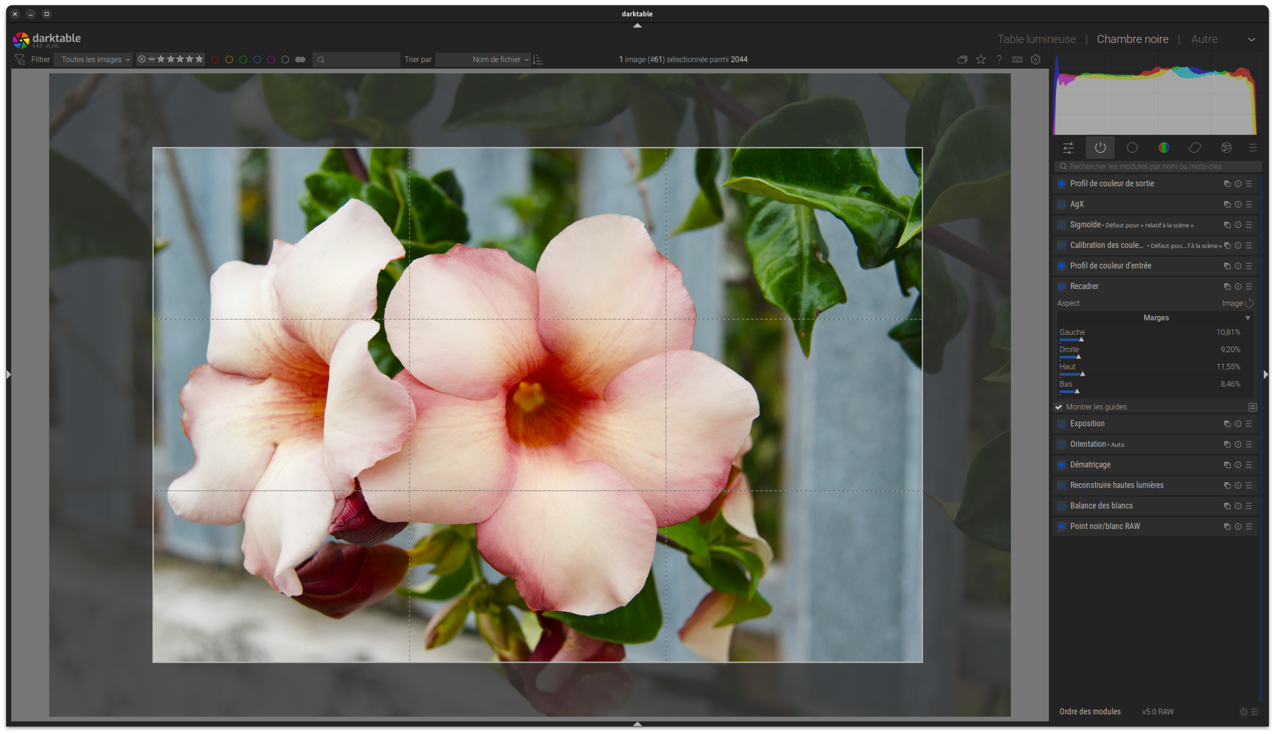 Copie d'écran de la fenêtre de darktable avec le module Recadrage activé