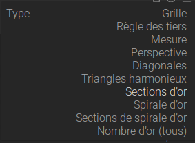Copie d'écran des types de guides du module Recadrer