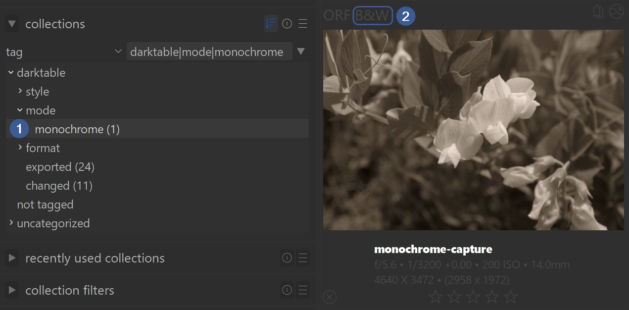 images taken as monochrome in-camera, will be imported then flagged as B&W images in darktable