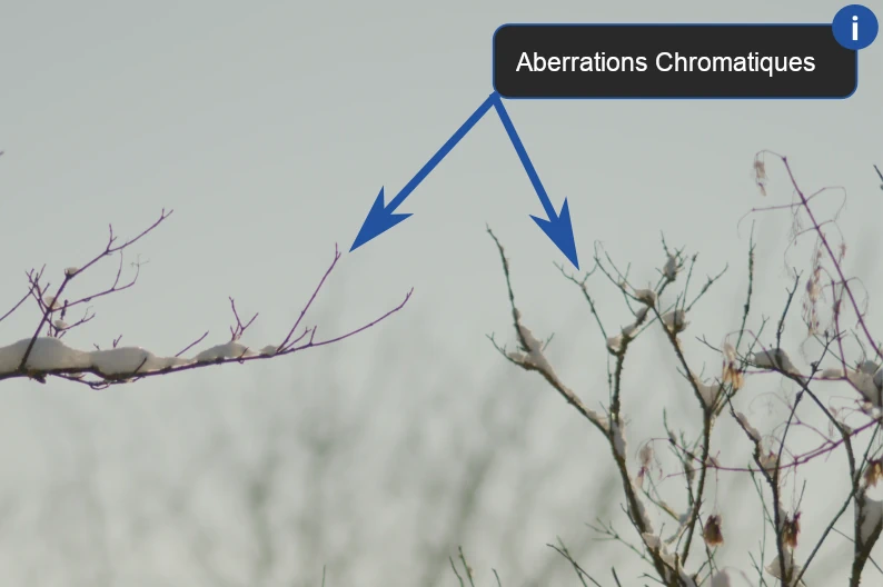 Illustration des Aberrations Chromatiques sur une photo couleur de branches d'arbre avec des aberrations chromatiques. Un encart dans lequel est écrit Aberrations Chromatiques figure en haut à droite de l'image, avec deux flèches pointant vers celles-ci