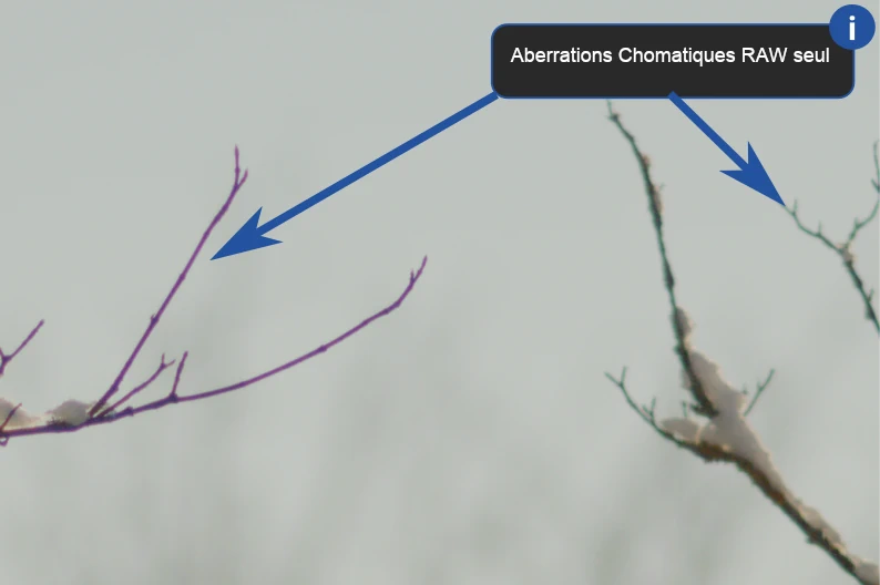 Illustration des Aberrations Chromatiques sur une photo couleur de branches d'arbre avec des aberrations chromatiques. Un encart dans lequel est écrit Aberrations Chromatiques RAW seul figure en haut à droite de l'image, avec deux flèches pointant vers celles-ci