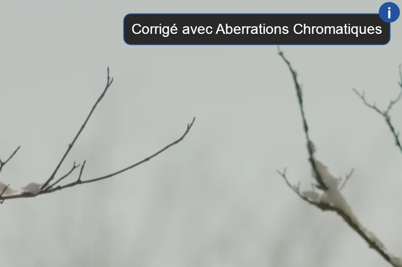 Illustration des Aberrations Chromatiques sur une photo couleur de branches d'arbre dont les aberrations chromatiques ont été corrigées. Un encart dans lequel est écrit Corrigé avec Aberrations Chromatiques figure en haut à droite de l'image